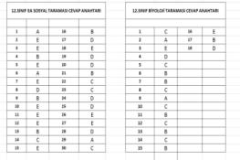 12.Sınıf - Tarama Cevap Anahtarları.(25.03.2026)